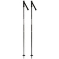 Electra Ski Poles - Womens