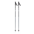 Stove Ski Poles