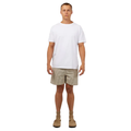 Front image of the Stripe Linen Shorts Mens in Tan