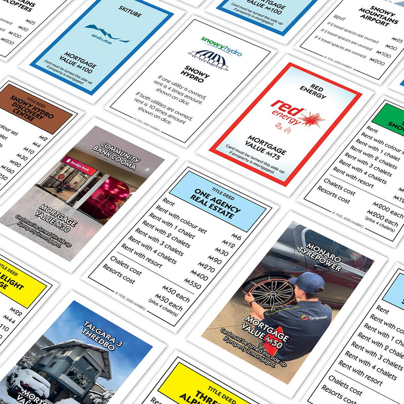 Snowy Mountains Monopoly Game