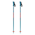 Amt Ski Poles - Kids