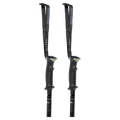 Triad Ski Poles