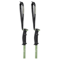 Triad Ski Poles