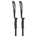 Triad Ski Poles