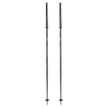 Triad Ski Poles
