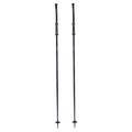Triad Ski Poles