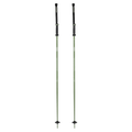 Triad Ski Poles