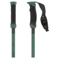 Handle view of the Atomic Redster Q Carbon SQS AJ5005842 Poles,  26/27 Unisex's model