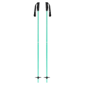Meta Ski Poles