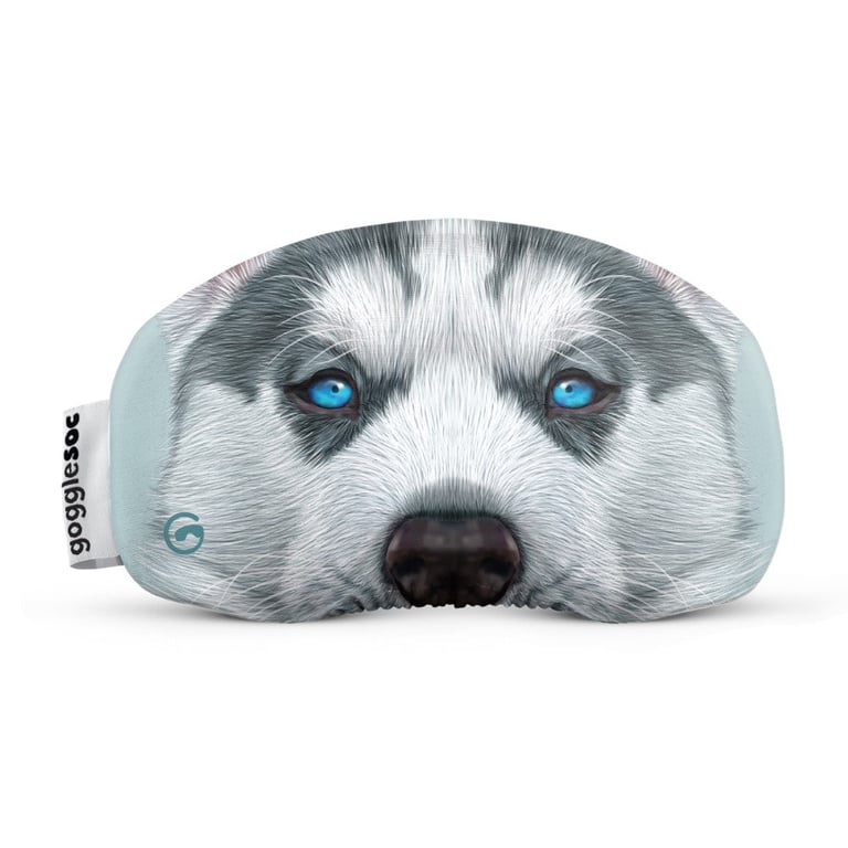 Main view of the Husky Goggle Soc