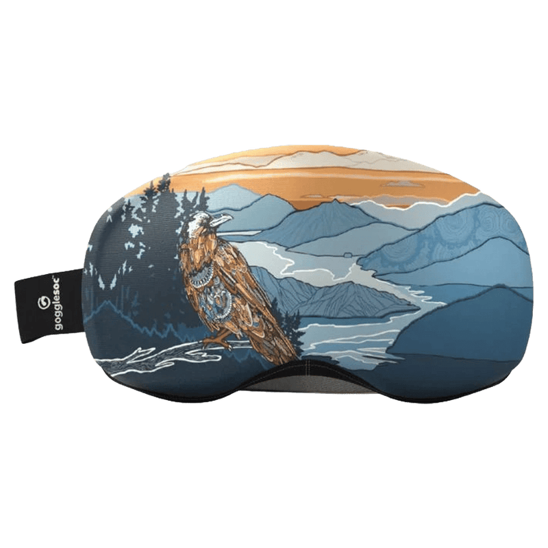 Main view of the  Raven Goggle Soc Pro