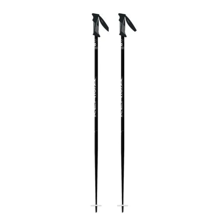 Speed Team Ski Poles - Kids