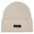 Main view of the Oakley B1B Gradient Patch Beanie, mist colour
