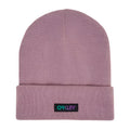 Main view of the Oakley B1B Gradient Patch Beanie, toadstool colour