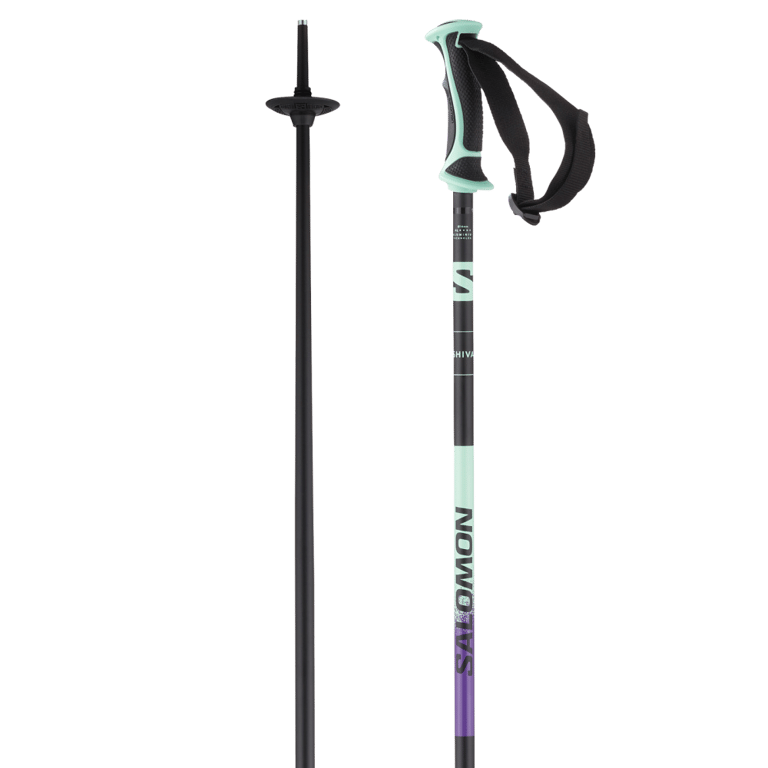 Shiva Ski Poles