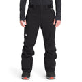 Freedom Ski Pants
