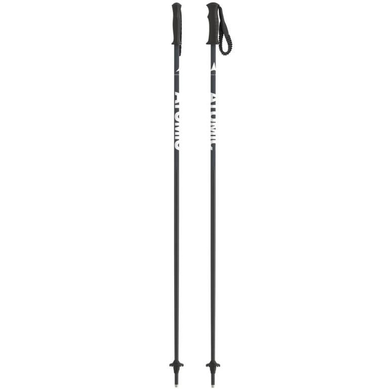 AMT Jr Ski Poles