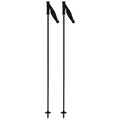 Electra Premium Carbon Ski Poles