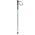 Touristick AC Touring Ski Poles