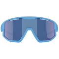 Vision Sunglasses