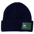 Anti Hero Lil Pigeon Beanie