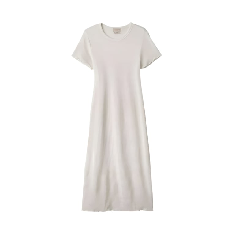Sheer Knit Dress