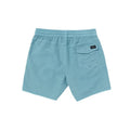 Center Trunk 17 Shorts