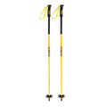 Faction Ski Poles