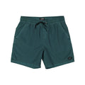 All Day OVD Layback Boardshorts - Kids