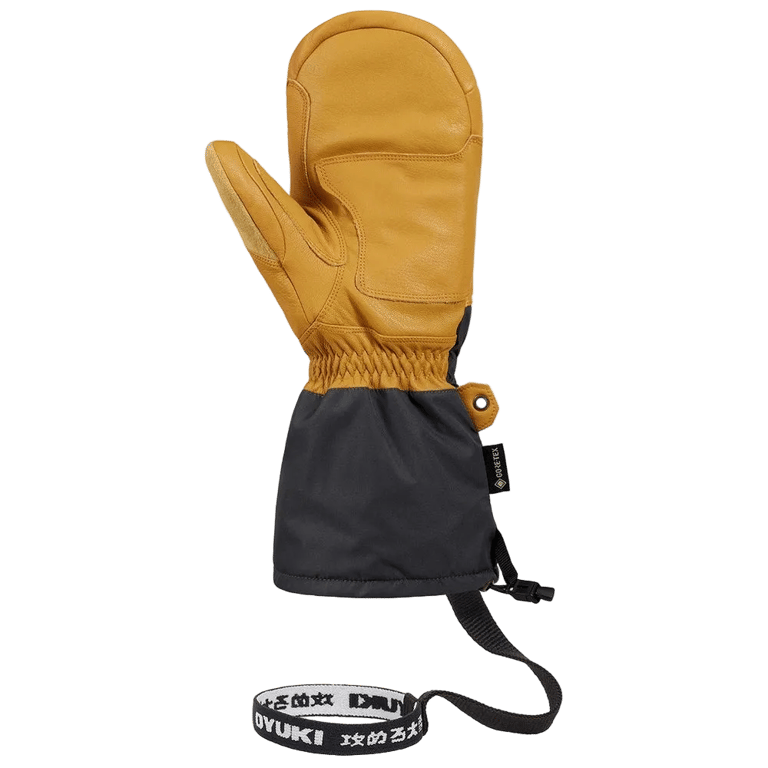 Arashi Guide Gtx Mitts