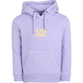 Aths Hoodie - Kids
