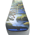 2027 Custom Snowboard