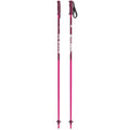 Amt Ski Poles - Kids