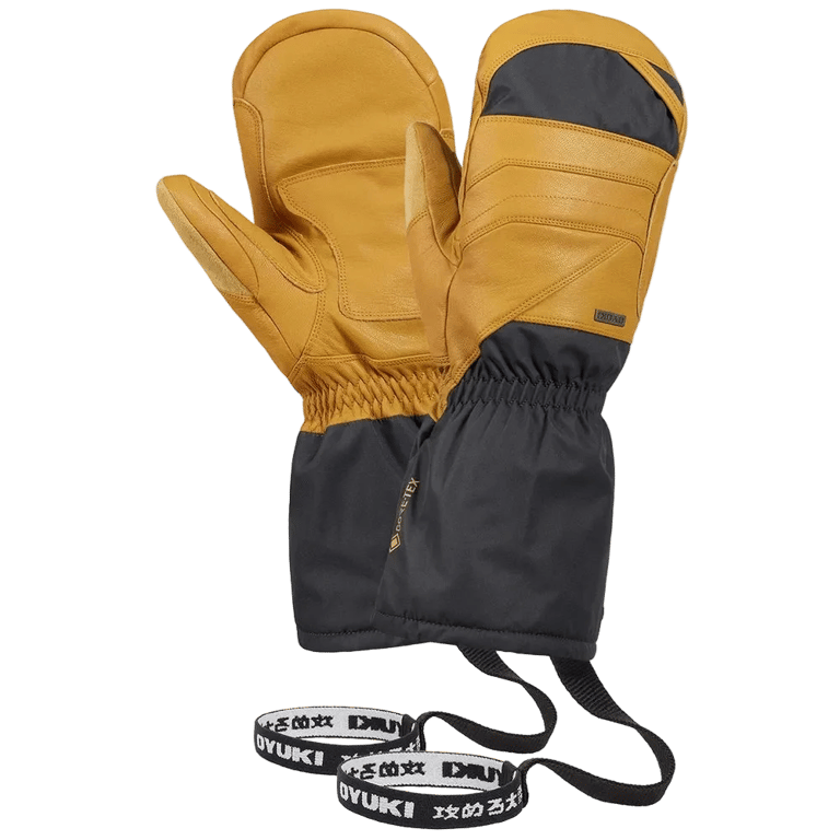 Arashi Guide Gtx Mitts
