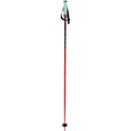 Phantastick Ski Poles - Kids