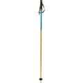 Phantastick Ski Poles - Kids