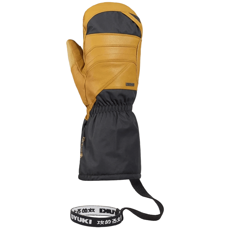 Arashi Guide Gtx Mitts