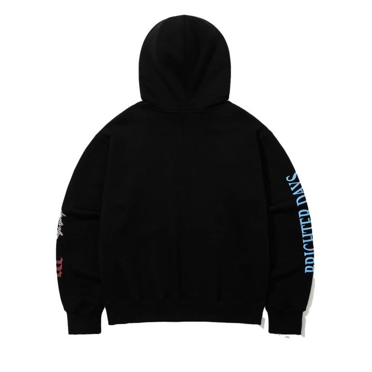 2010 Seoul Hoodie