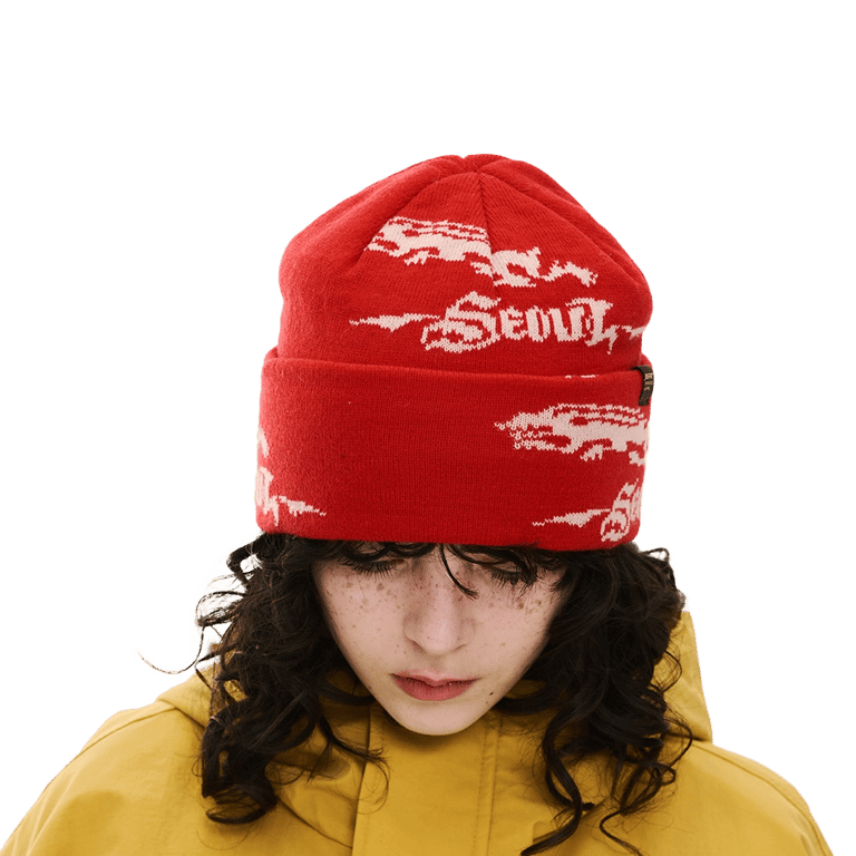 Rabbit Pattern Beanie