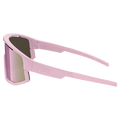 Vision Sunglasses