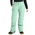 AK Summit Gore-Tex Insulated Snowboard Pants - Womens