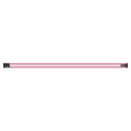 Nine Oh Belt - Womens