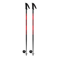 Stove Ski Poles