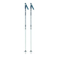 Stove Ski Poles