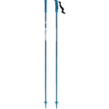 AMT Jr Ski Poles