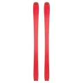 Base view of the Black Crows CAMOX FREEBIRD Skis,  26/27 unisex's model