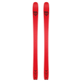 Main view of the Black Crows CAMOX FREEBIRD Skis,  26/27 unisex's model