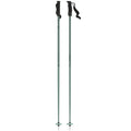 Atomic Cloud Ski Poles
