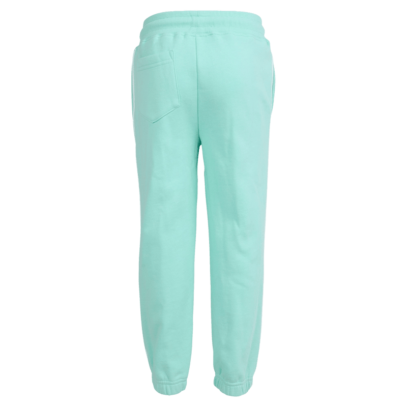 Back view of the Eve Girl Sport Club Track Pant in Mint colourway, toddler's model