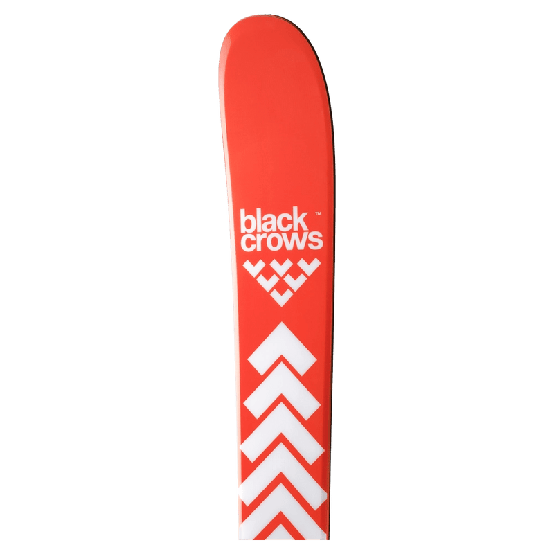 Tip view of the Black Crows CAMOX BIRDIE Skis,  26/27 unisex's model